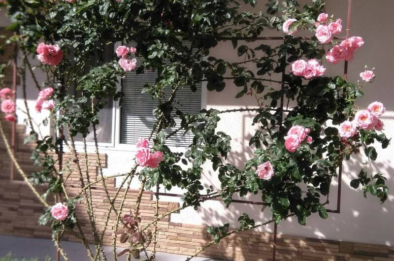 Изображение Изображение гостиницы "Гостевой дом «Светлана»" #4 #4