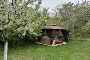 Изображение Дача у моря с выходом на дикий пляж #5