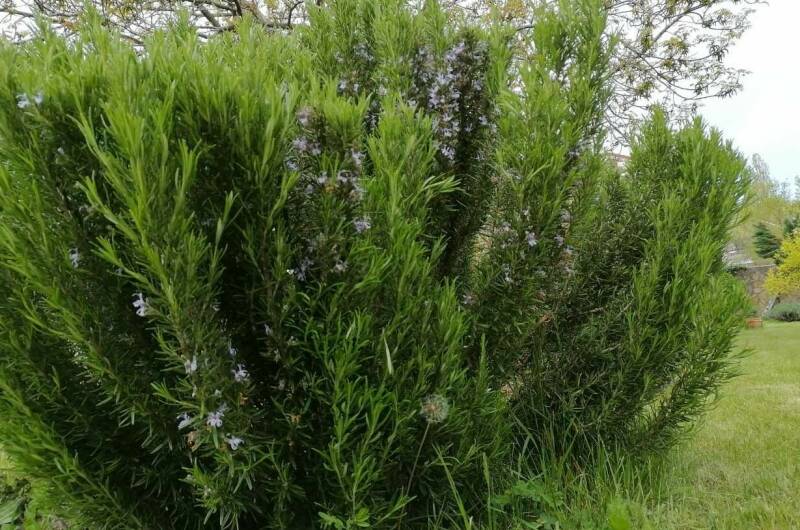 Изображение Изображение квартиры "Дача у моря с выходом на дикий пляж" #3 #3