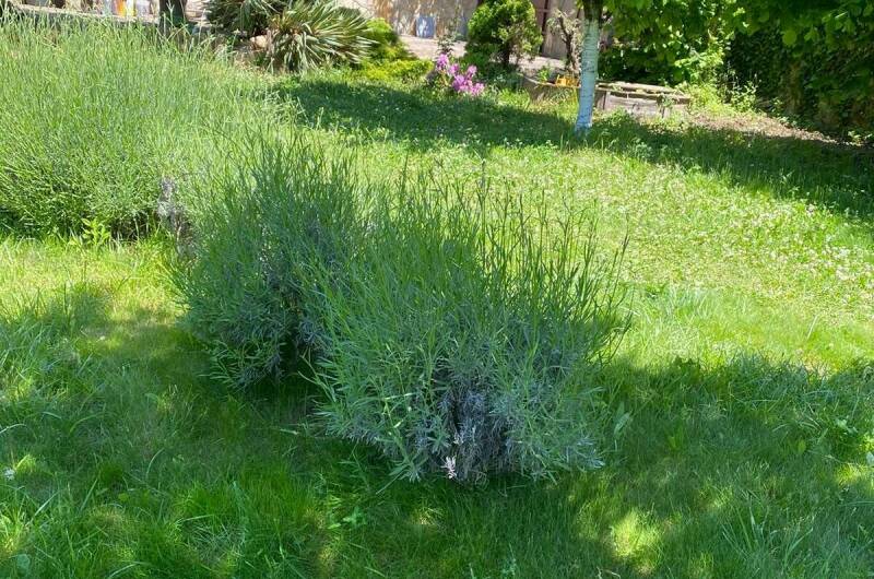 Изображение Изображение квартиры "Дача у моря с выходом на дикий пляж" #6 #6