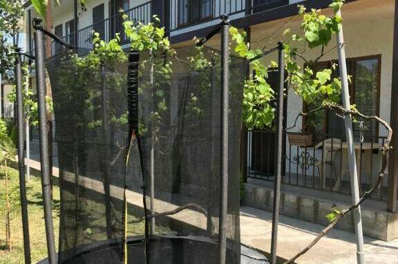 Изображение Изображение отеля / гостиницы "Гостевой дом «У Феликса»" #11 #9