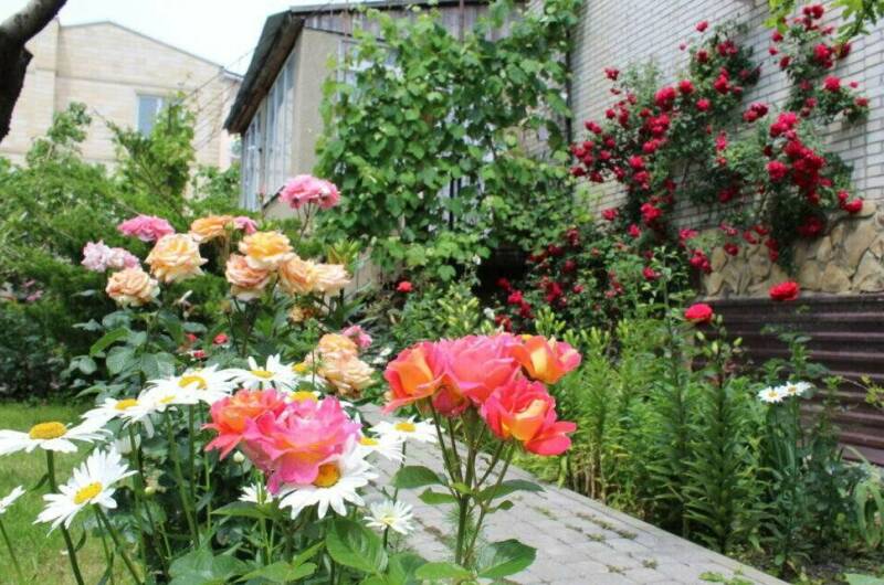 Изображение Изображение гостиницы "Гостевой дом «Незабудка»" #2 #2