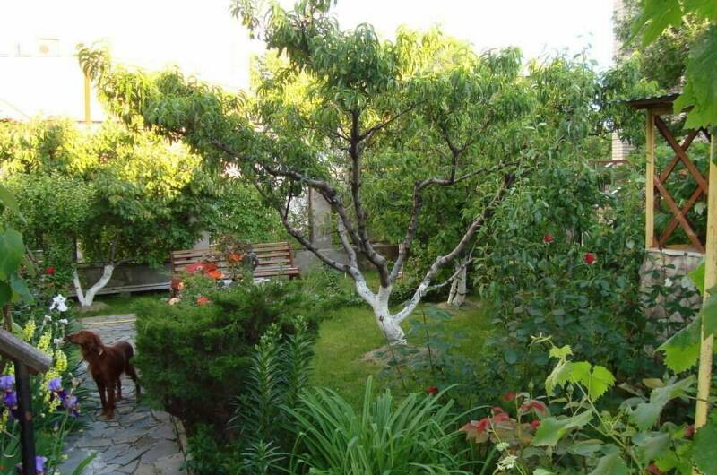 Изображение Изображение гостиницы "Гостевой дом «Незабудка»" #3 #3