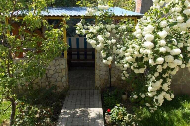 Изображение Изображение гостиницы "Гостевой дом «Незабудка»" #5 #5