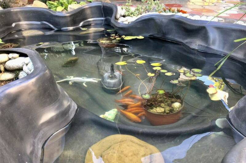 Изображение Изображение гостиницы &quot;Дом отдыха «Виноградный»&quot; #4 #4