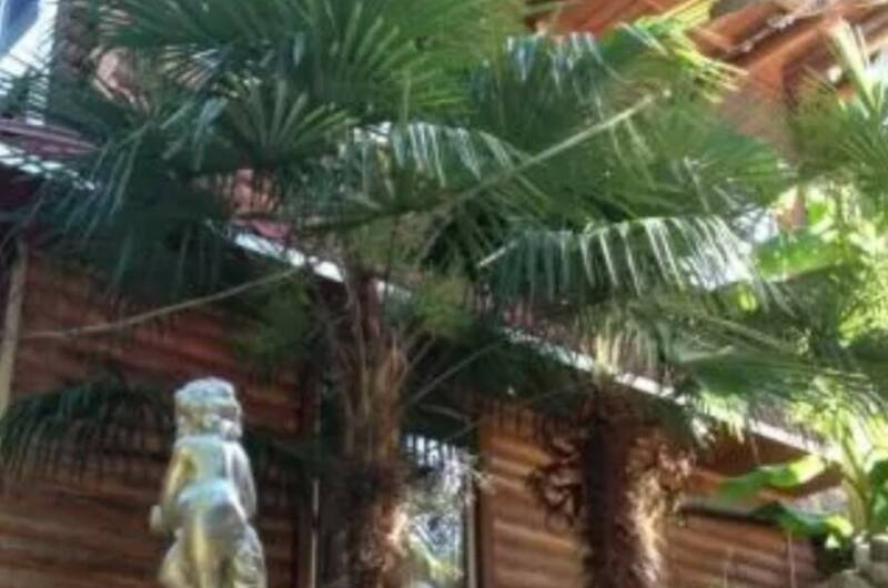 Изображение Изображение гостиницы "Гостевой дом «Рид»" #6 #6