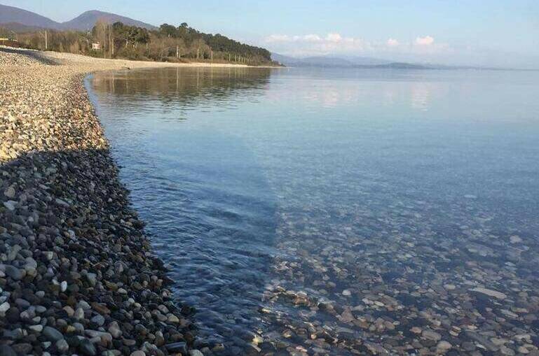 Изображение Изображение гостиницы "База отдыха «Мандарин»" #4 #4