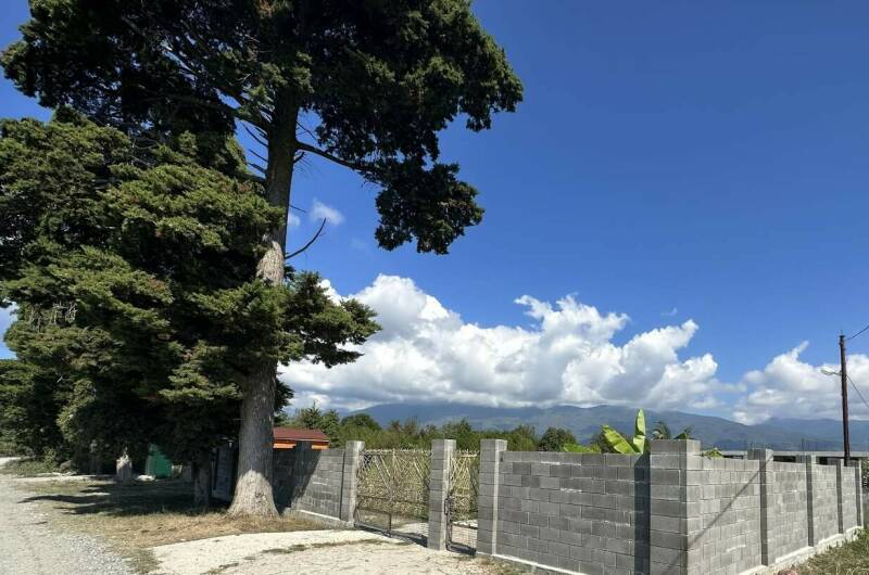 Изображение Изображение гостиницы "Гостевой дом «Амели»" #2 #2