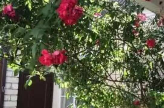 Изображение Изображение отеля / гостиницы "Гостевой дом на Степной 11" #11 #9