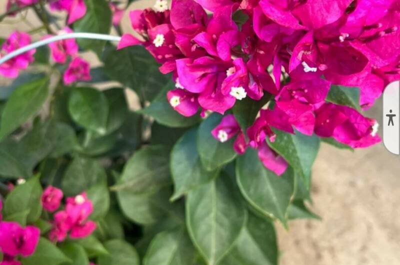 Изображение Изображение гостиницы "Гостевой дом «Анна-Мария»" #3 #3