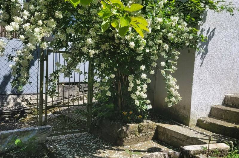 Изображение Изображение гостиницы "Гостевой дом «Анна-Мария»" #7 #7