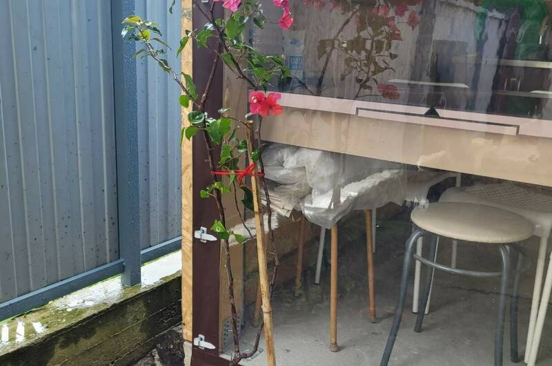 Изображение Изображение гостиницы "Гостевой дом «Анна-Мария»" #8 #8