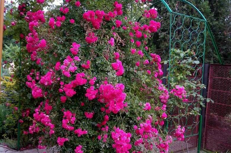 Изображение Изображение гостиницы &quot;Частный дом «Вита»&quot; #1 #1