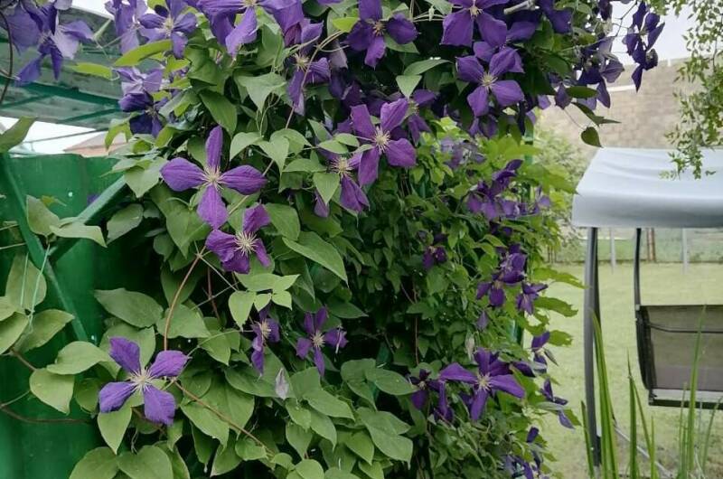 Изображение Изображение гостиницы &quot;Частный дом «Вита»&quot; #2 #2