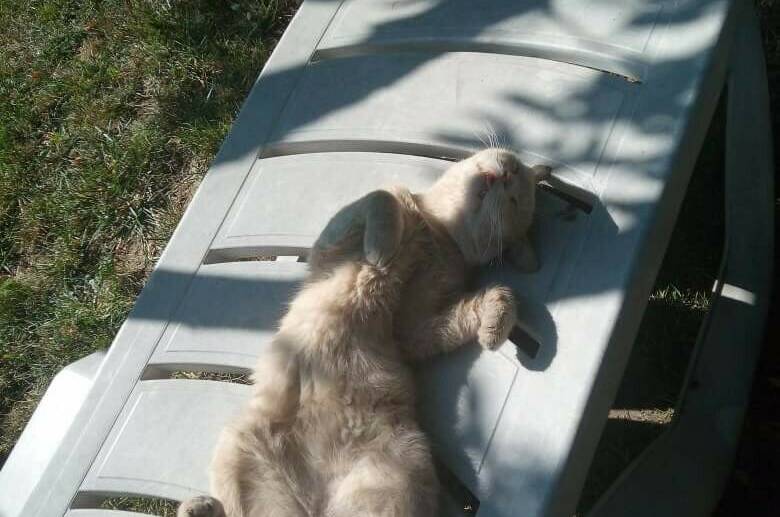 Изображение Изображение гостиницы &quot;Частный дом «Вита»&quot; #5 #5