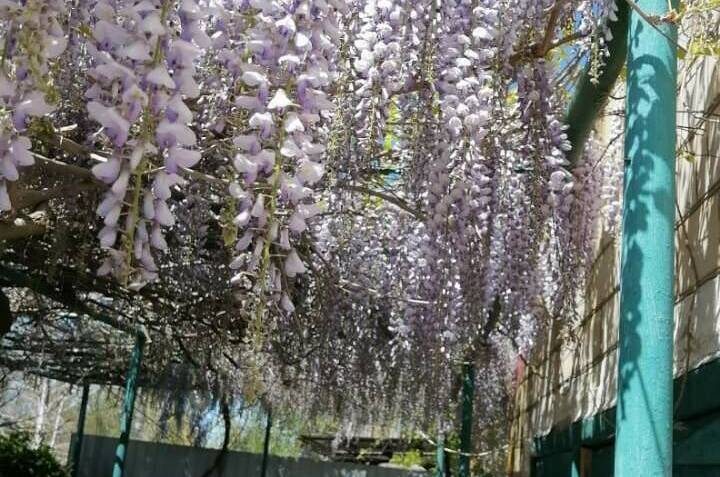 Изображение Изображение гостиницы &quot;Частный дом «Вита»&quot; #7 #7