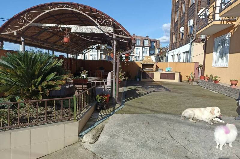 Изображение Изображение гостиницы "Гостевой дом «Каролина»" #5 #5