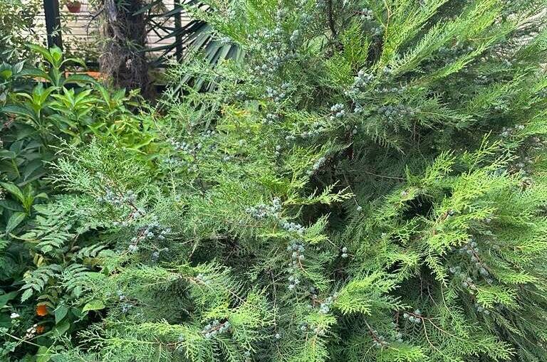 Изображение Изображение гостиницы "Гостевой дом «Морская сказка»" #5 #5