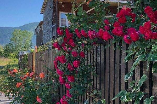 Изображение Изображение гостиницы "Гостевой дом «Морская сказка»" #6 #6