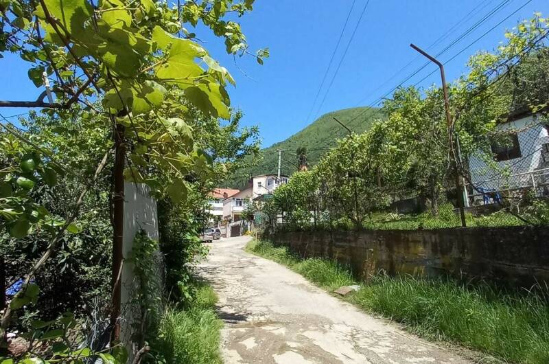 Изображение Изображение гостиницы "Гостевой дом «Тея»" #4 #4