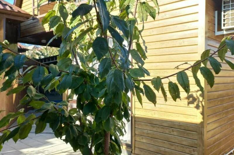 Изображение Изображение квартиры &quot;Дом под ключ с бассейном&quot; #8 #8