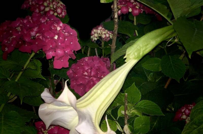 Изображение Изображение гостиницы &quot;Частное домовладение «Баунти»&quot; #3 #3