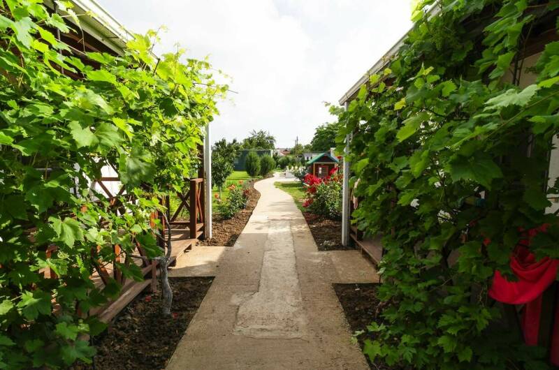 Изображение Изображение гостиницы &quot;Гостевой дом «Юг»&quot; #8 #8