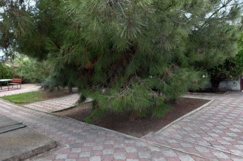 Изображение Изображение гостиницы &quot;Парк-отель «Мысовое lux»&quot; #2 #2