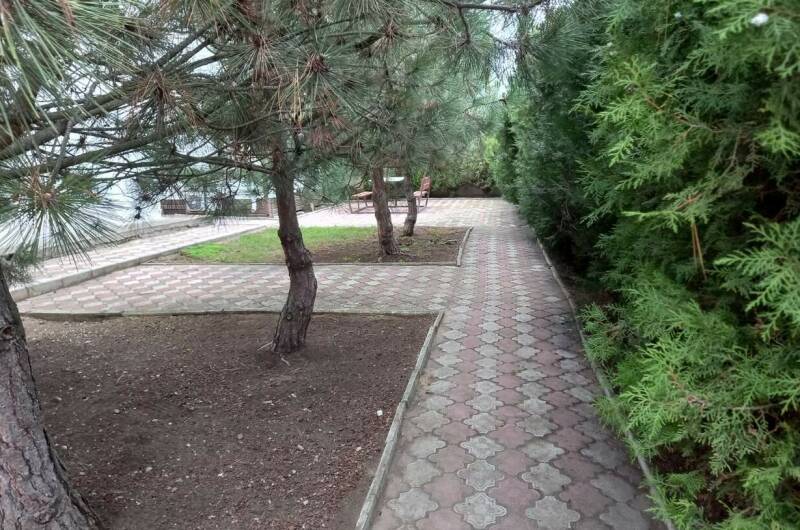 Изображение Изображение гостиницы &quot;Парк-отель «Мысовое lux»&quot; #6 #6