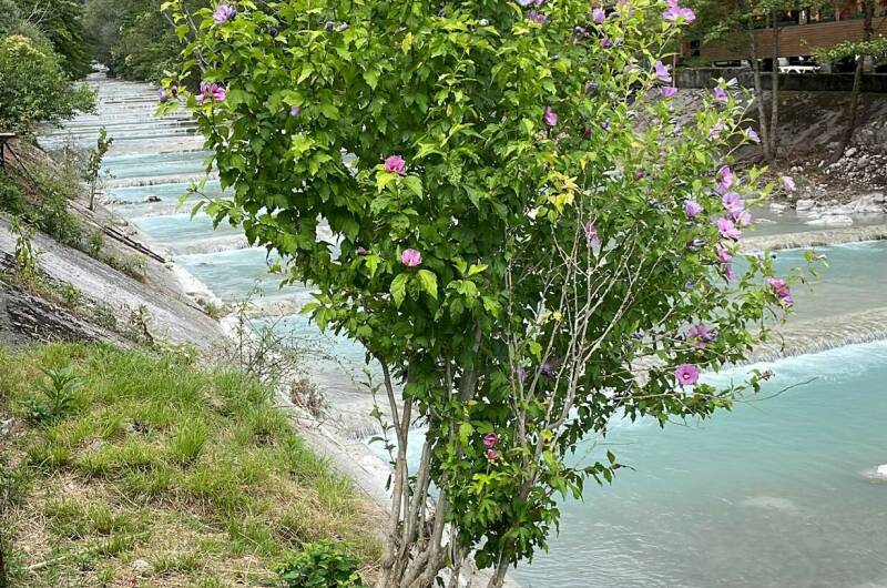 Изображение Изображение гостиницы "Гостевой дом «У реки»" #7 #7