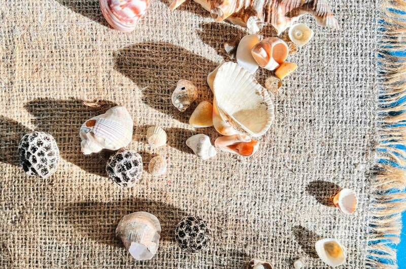 Изображение Изображение отеля / гостиницы "Гостевой дом «Зеленый Двор»" #11 #9