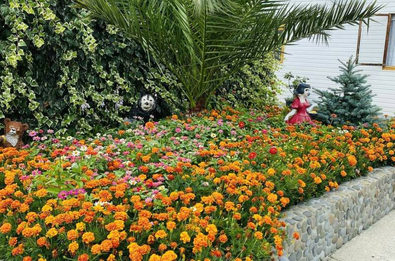 Изображение Изображение отеля / гостиницы "Частный сектор «Отдых у Миланы»" #10 #8