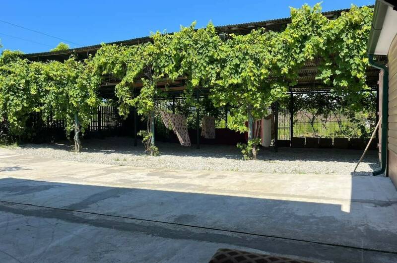 Изображение Изображение квартиры "Дом «Лука»" #1 #1