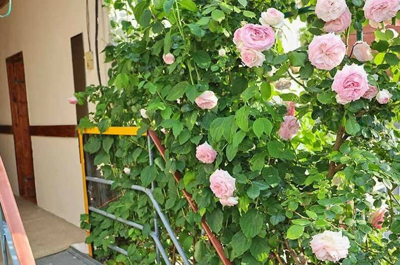 Изображение Изображение гостиницы &quot;Частное домовладение на Протапова&quot; #2 #2