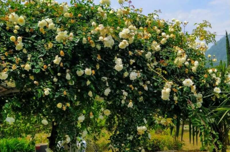 Изображение Изображение гостиницы "Частный сектор «У Джули»" #8 #8