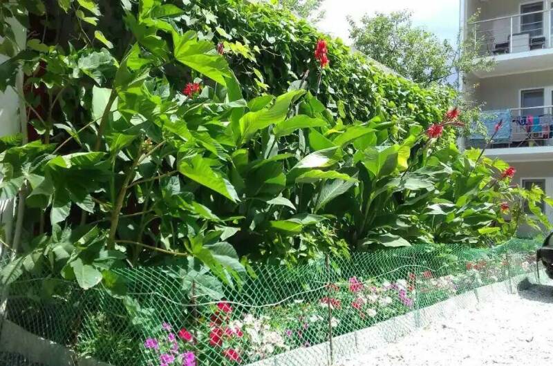 Изображение Изображение гостиницы "Гостевой дом «Бумеранг»" #5 #5