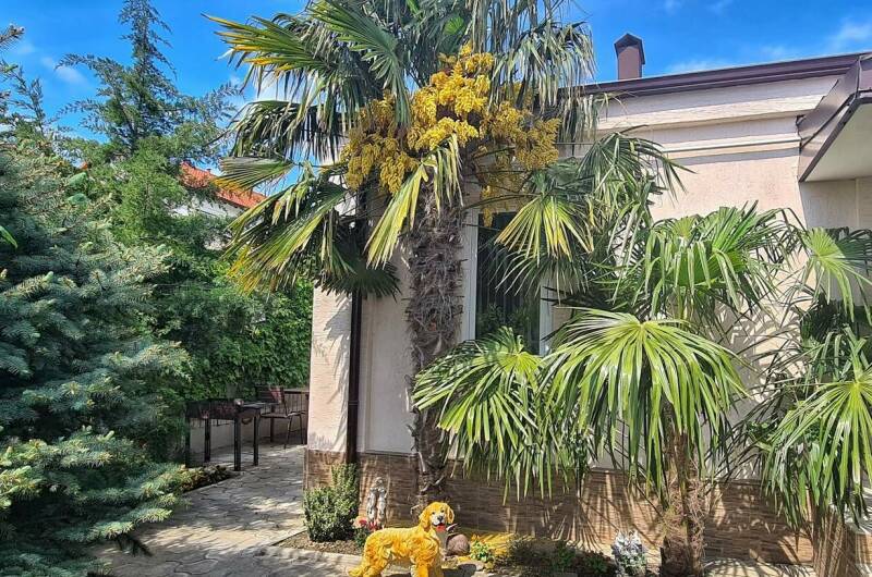 Изображение Изображение квартиры &quot;Дом для отдыха&quot; #1 #1