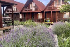 Изображение Комплекс коттеджей «Villa La Vika» #5