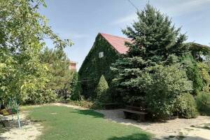 Изображение Гостевой дом «Под соснами» #5