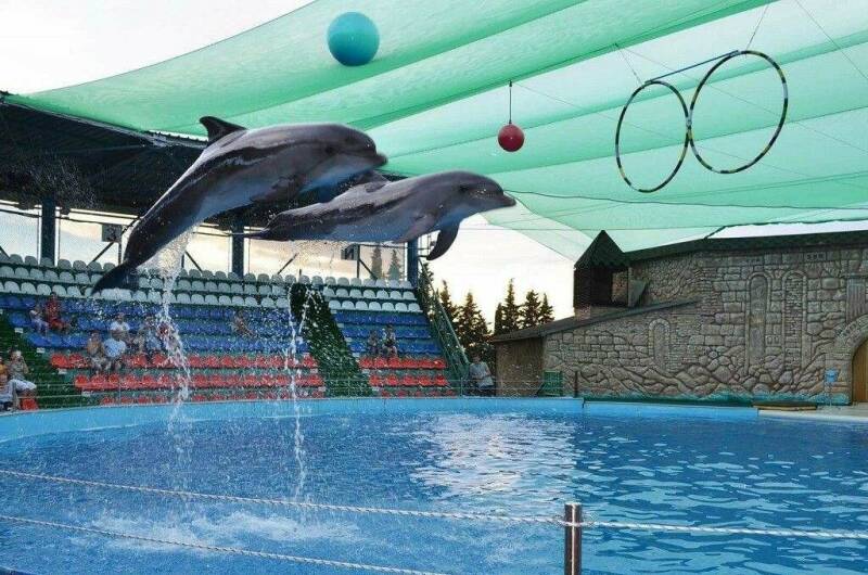 Изображение Изображение отеля / гостиницы "Гостевой дом «Аэлита»" #11 #9