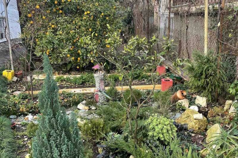 Изображение Изображение квартиры / апартамента "Домик «Роза» на Маяке" #11 #9