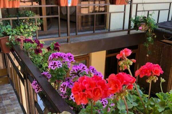 Изображение Изображение гостиницы "Гостевой дом «Мыс Надежды»" #2 #2