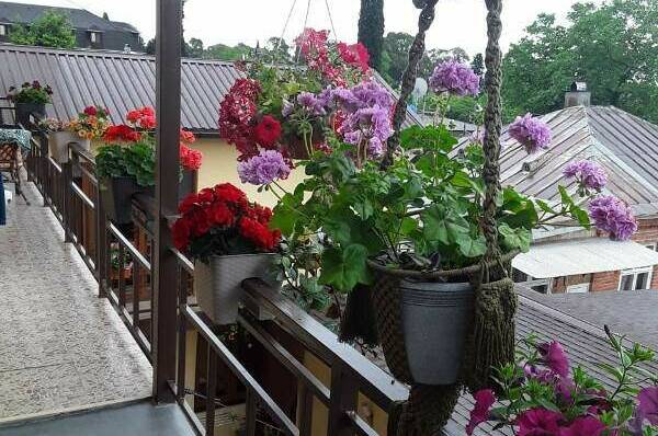 Изображение Изображение гостиницы "Гостевой дом «Мыс Надежды»" #7 #7