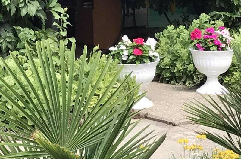 Изображение Изображение гостиницы &quot;Гостевой дом «Веранда»&quot; #2 #2