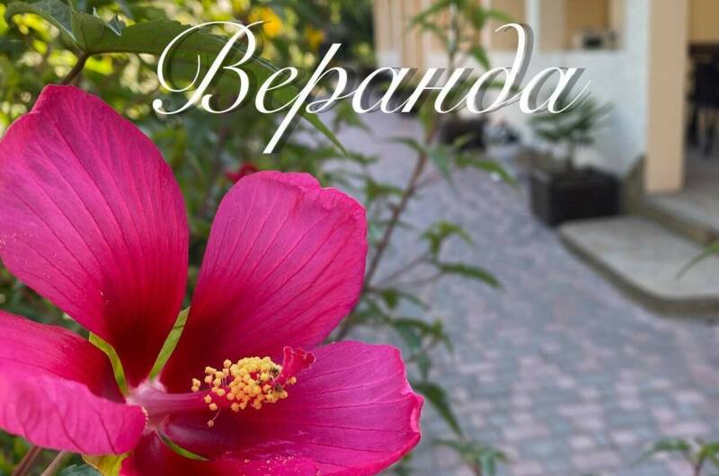 Изображение Изображение гостиницы &quot;Гостевой дом «Веранда»&quot; #5 #5