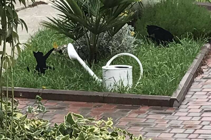 Изображение Изображение гостиницы &quot;Гостевой дом «Веранда»&quot; #6 #6