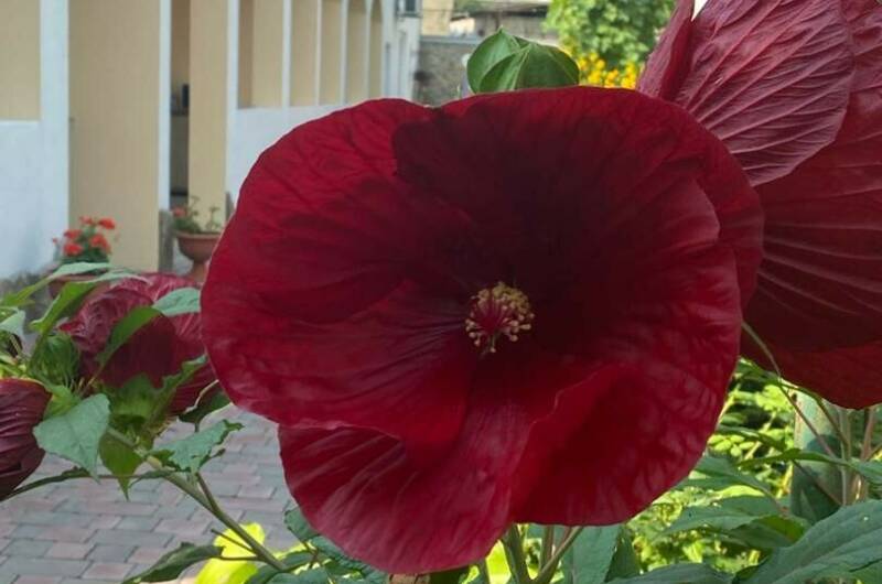 Изображение Изображение гостиницы &quot;Гостевой дом «Веранда»&quot; #7 #7