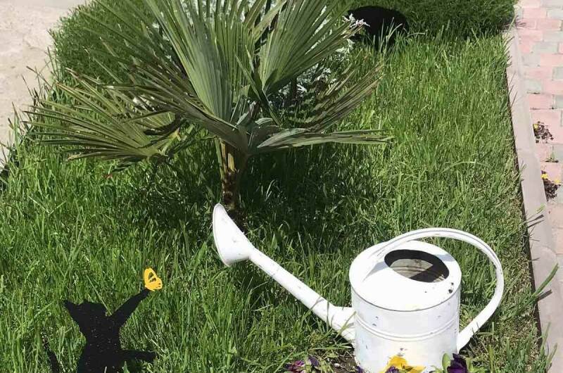 Изображение Изображение отеля / гостиницы "Гостевой дом «Веранда»" #10 #8