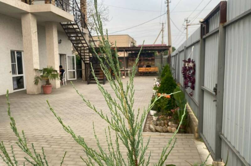 Изображение Изображение гостиницы &quot;Частный сектор «Ирис»&quot; #6 #6