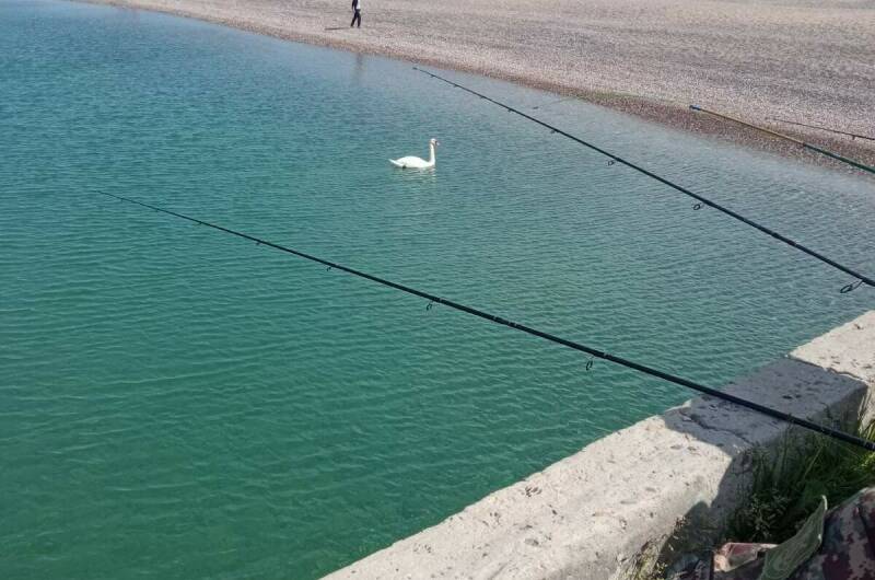 Изображение Изображение квартиры &quot;Этаж под ключ на Профсоюзной&quot; #8 #8